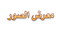 معرض الصور